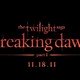 photo du film Twilight - Chapitre 4 : Révélation, partie 1