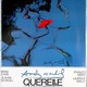 photo du film Querelle