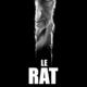 photo du film Le Rat