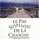 photo du film Le Pas suspendu de la cigogne