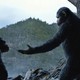 photo du film La Planète des singes : l'affrontement