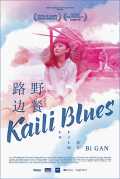 voir la fiche complète du film : Kaili Blues