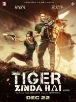 voir la fiche complète du film : Tiger Zinda Hai