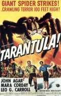 voir la fiche complète du film : Tarantula