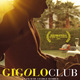 photo du film Gigolo Club