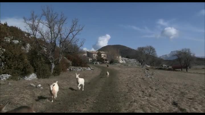 Extrait vidéo du film  Les Chèvres de ma mère