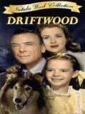 voir la fiche complète du film : Driftwood