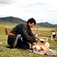 photo du film Le Chien jaune de Mongolie