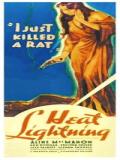voir la fiche complète du film : Heat Lightning