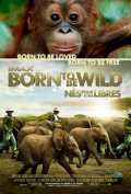voir la fiche complète du film : Born to be wild