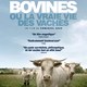 photo du film Bovines ou la vraie vie des vaches
