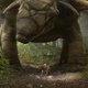 photo du film Sur la terre des dinosaures 3D