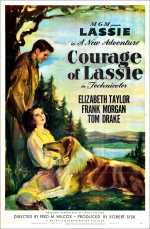voir la fiche complète du film : Le Courage de Lassie