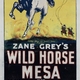 photo du film Wild Horse Mesa