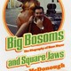 photo du film Big Bosoms and Square Jaws