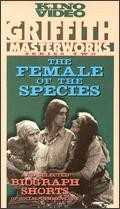 voir la fiche complète du film : The Female of the Species