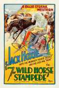 voir la fiche complète du film : The Wild Horse Stampede