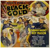 voir la fiche complète du film : Black Gold
