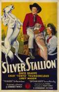 voir la fiche complète du film : Silver Stallion