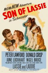 voir la fiche complète du film : Le Fils de Lassie