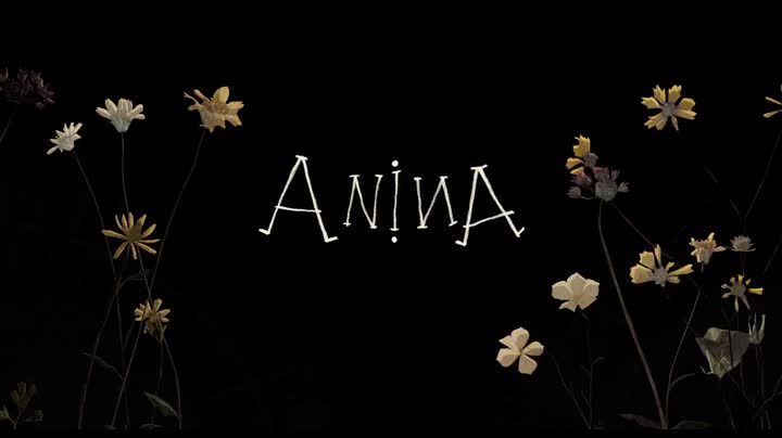Extrait vidéo du film  Anina