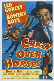voir la fiche complète du film : Crazy Over Horses