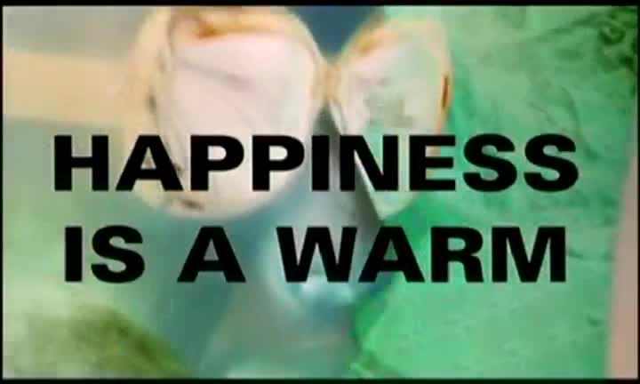 Extrait vidéo du film  Happiness Is a Warm Gun