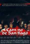 voir la fiche complète du film : Camino de Santiago