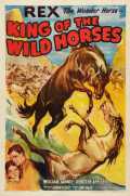 voir la fiche complète du film : King of the Wild Horses