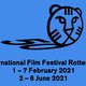 Festival International Du Film De Rotterdam (IFFR)
