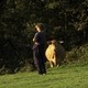 photo du film Ici Najac, à vous la terre