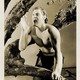 photo de Johnny Weissmuller