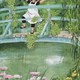 photo du film Linnea dans le jardin de Monet