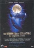 Les Baleines de l Atlantide