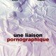 photo du film Une liaison pornographique