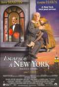 voir la fiche complète du film : Escapade à New York