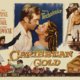 photo du film Le Trésor des Caraibes