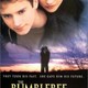 photo du film La Mémoire volée