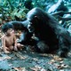 photo du film Greystoke, la légende de Tarzan
