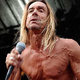 photo de Iggy Pop