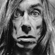 photo de Iggy Pop