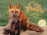 City Foxes