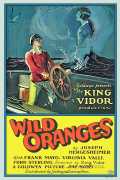 voir la fiche complète du film : Wild Oranges