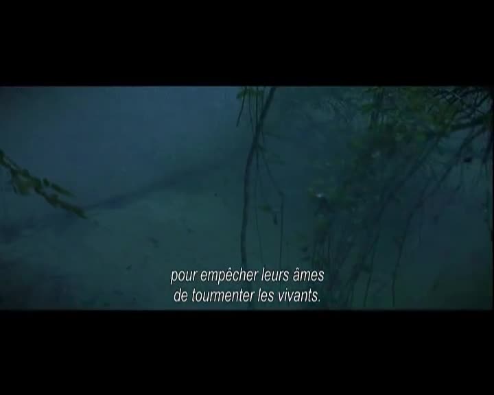 Extrait vidéo du film  Dans la brume électrique