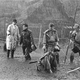 photo du film Les 7 Samouraïs