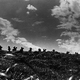 photo du film Les 7 Samouraïs