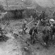 photo du film Les 7 Samouraïs