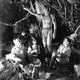 photo du film Tarzan et sa compagne