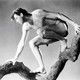 photo du film Tarzan et sa compagne