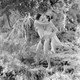 photo du film Tarzan et sa compagne